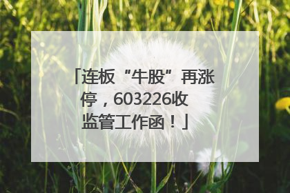 连板“牛股”再涨停，603226收监管工作函！