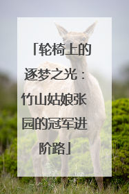轮椅上的逐梦之光：竹山姑娘张园的冠军进阶路