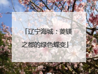 辽宁海城：菱镁之都的绿色蝶变