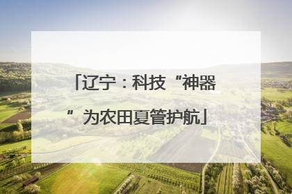 辽宁：科技“神器”为农田夏管护航