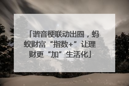 谐音梗联动出圈，蚂蚁财富“指数+”让理财更“加”生活化