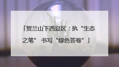 贺兰山下西夏区：执“生态之笔” 书写“绿色答卷”
