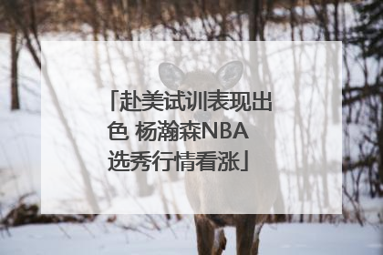 赴美试训表现出色 杨瀚森NBA选秀行情看涨