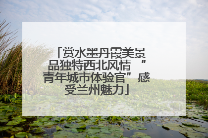赏水墨丹霞美景 品独特西北风情 “青年城市体验官”感受兰州魅力