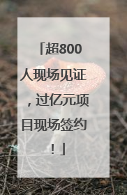 超800人现场见证，过亿元项目现场签约！
