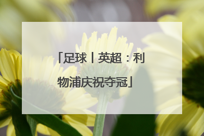 足球丨英超：利物浦庆祝夺冠