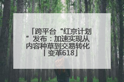 跨平台“红京计划”发布：加速实现从内容种草到交易转化丨变革618