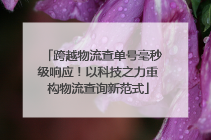跨越物流查单号毫秒级响应！以科技之力重构物流查询新范式