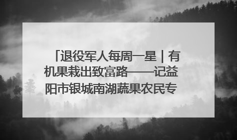 退役军人每周一星｜有机果栽出致富路——记益阳市银城南湖蔬果农民专业合作社总经理晏桂明