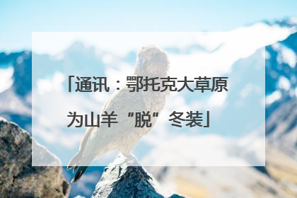 通讯：鄂托克大草原为山羊“脱”冬装