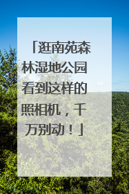 逛南苑森林湿地公园看到这样的照相机，千万别动！