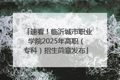 速看！临沂城市职业学院2025年高职（专科）招生简章发布
