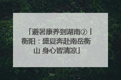 避暑康养到湖南②丨衡阳：盛夏奔赴南岳衡山 身心皆清凉