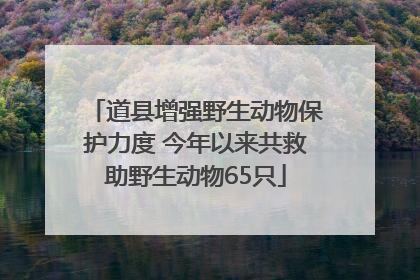 道县增强野生动物保护力度 今年以来共救助野生动物65只