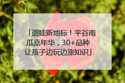 遛娃新地标！平谷南瓜嘉年华，30+品种让孩子边玩边涨知识