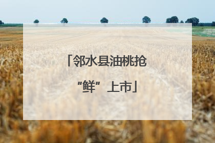 邻水县油桃抢“鲜”上市