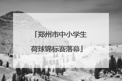 郑州市中小学生荷球锦标赛落幕