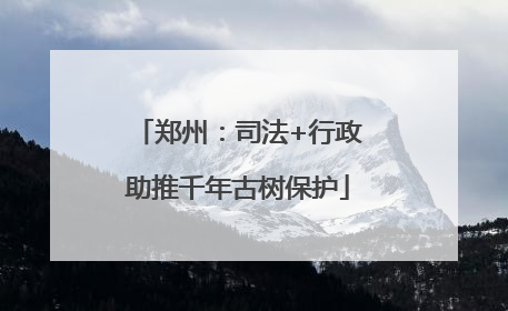 郑州：司法+行政助推千年古树保护