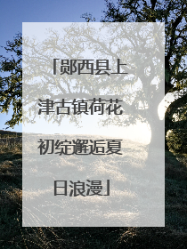 郧西县上津古镇荷花初绽邂逅夏日浪漫