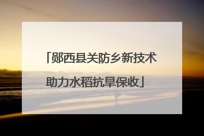 郧西县关防乡新技术助力水稻抗旱保收