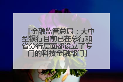 金融监管总局：大中型银行目前已在总行和省分行层面都设立了专门的科技金融部门