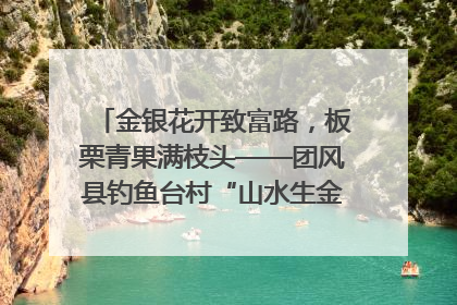 金银花开致富路，板栗青果满枝头——团风县钓鱼台村“山水生金”谱写共富新篇章
