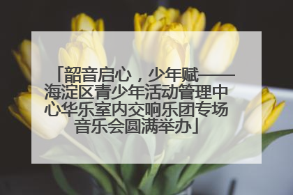 韶音启心，少年赋——海淀区青少年活动管理中心华乐室内交响乐团专场音乐会圆满举办