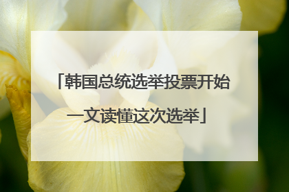 韩国总统选举投票开始 一文读懂这次选举