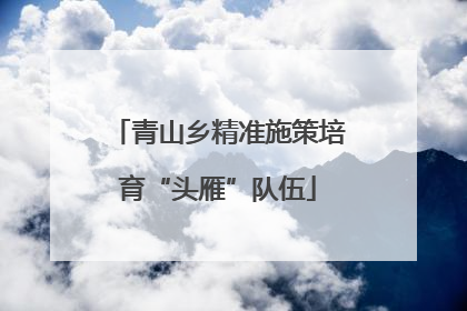 青山乡精准施策培育“头雁”队伍