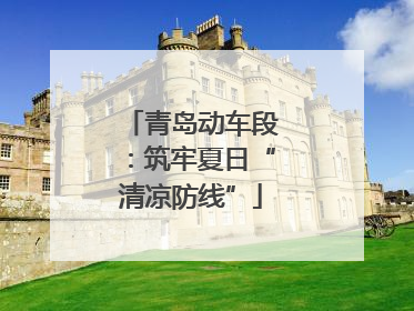 青岛动车段：筑牢夏日“清凉防线”