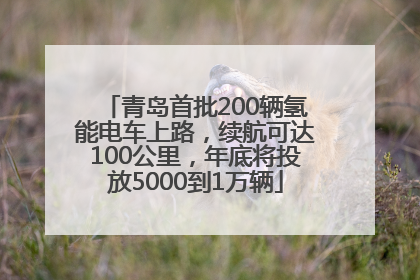 青岛首批200辆氢能电车上路，续航可达100公里，年底将投放5000到1万辆