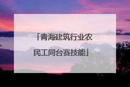 青海建筑行业农民工同台赛技能