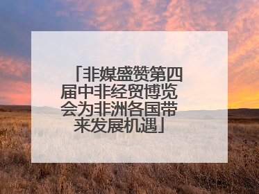 非媒盛赞第四届中非经贸博览会为非洲各国带来发展机遇