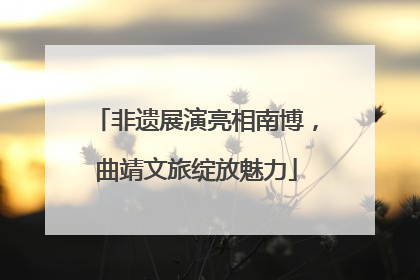 非遗展演亮相南博，曲靖文旅绽放魅力
