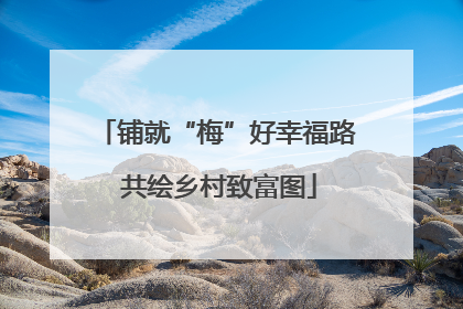铺就“梅”好幸福路 共绘乡村致富图