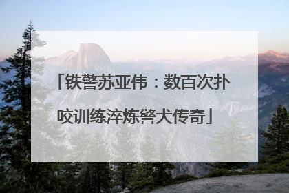 铁警苏亚伟：数百次扑咬训练淬炼警犬传奇