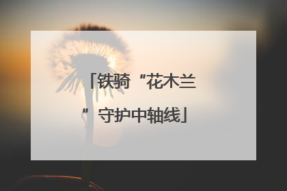 铁骑“花木兰”守护中轴线