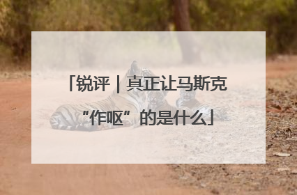 锐评｜真正让马斯克“作呕”的是什么