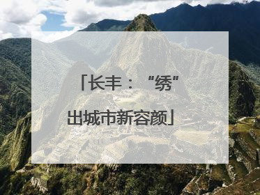 长丰：“绣”出城市新容颜