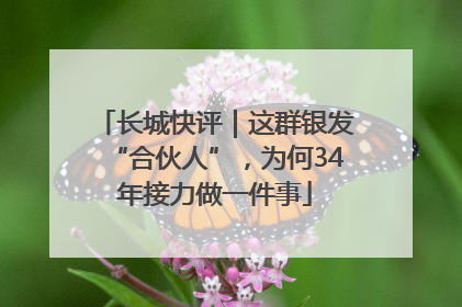 长城快评｜这群银发“合伙人”，为何34年接力做一件事