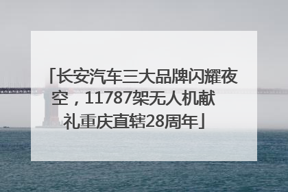 长安汽车三大品牌闪耀夜空，11787架无人机献礼重庆直辖28周年
