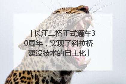 长江二桥正式通车30周年，实现了斜拉桥建设技术的自主化