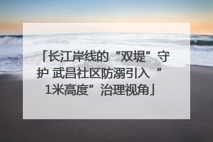 长江岸线的“双堤”守护 武昌社区防溺引入“1米高度”治理视角