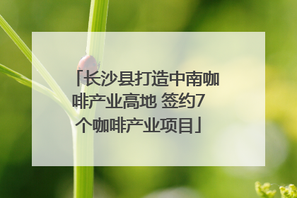 长沙县打造中南咖啡产业高地 签约7个咖啡产业项目