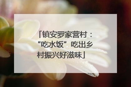 镇安罗家营村：“吃水饭”吃出乡村振兴好滋味