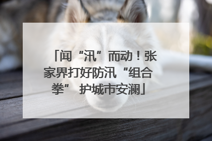 闻“汛”而动！张家界打好防汛“组合拳” 护城市安澜