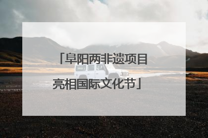 阜阳两非遗项目亮相国际文化节
