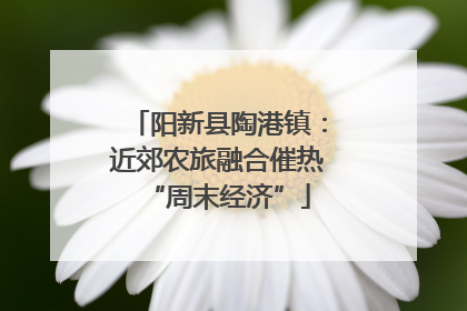 阳新县陶港镇：近郊农旅融合催热“周末经济”