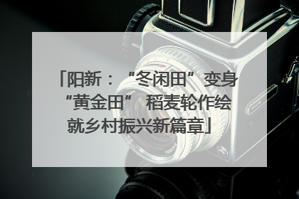 阳新：“冬闲田”变身“黄金田” 稻麦轮作绘就乡村振兴新篇章