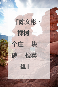 陈文彬：一棵树 一个庄 一块碑 一位英雄